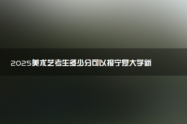 2025美术艺考生多少分可以报宁夏大学新华学院