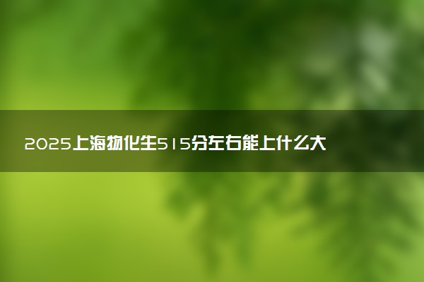 2025上海物化生515分左右能上什么大学 可以报考的院校名单