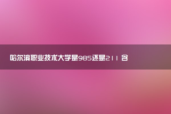 哈尔滨职业技术大学是985还是211 含金量怎么样