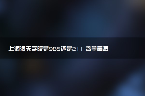 上海海关学院是985还是211 含金量怎么样