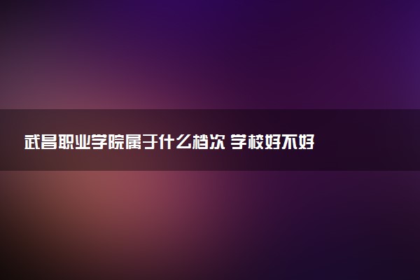 武昌职业学院属于什么档次 学校好不好