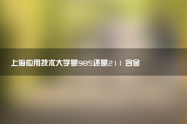 上海应用技术大学是985还是211 含金量怎么样