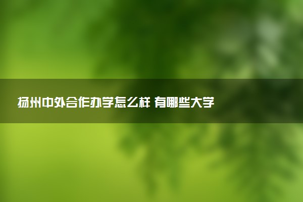 扬州中外合作办学怎么样 有哪些大学