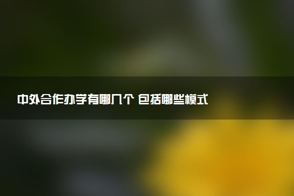 中外合作办学有哪几个 包括哪些模式