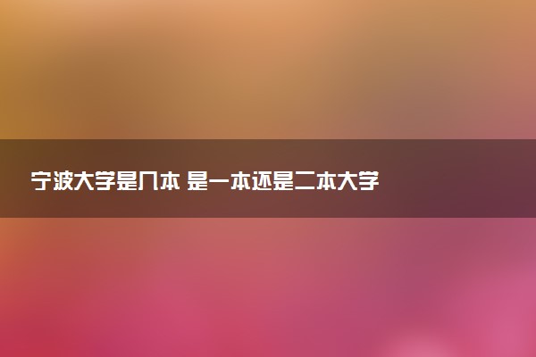 宁波大学是几本 是一本还是二本大学
