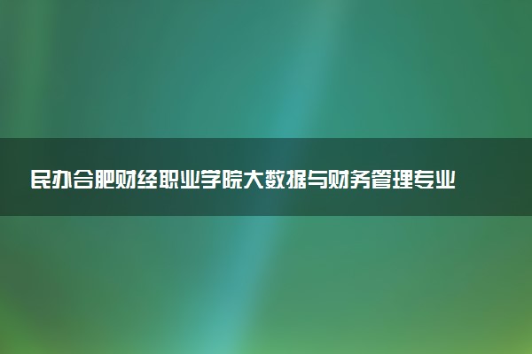 民办合肥财经职业学院大数据与财务管理专业怎么样 录取分数线多少