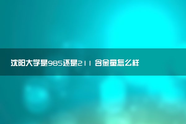 沈阳大学是985还是211 含金量怎么样