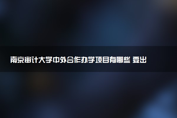 南京审计大学中外合作办学项目有哪些 要出国吗