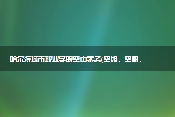 哈尔滨城市职业学院空中乘务（空姐、空哥、机场地勤、酒店管理）专业怎么样 录取分数线多少