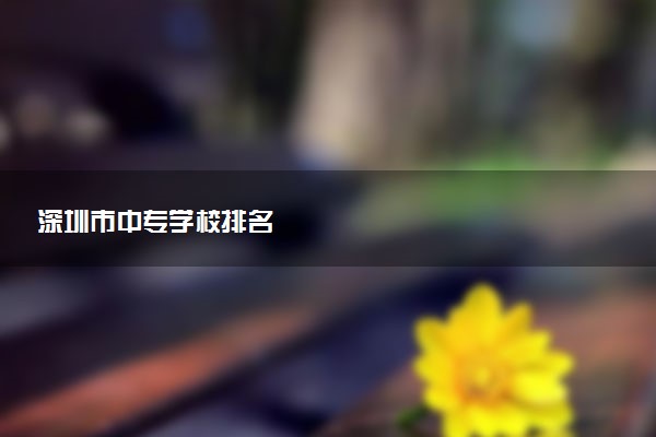 深圳市中专学校排名