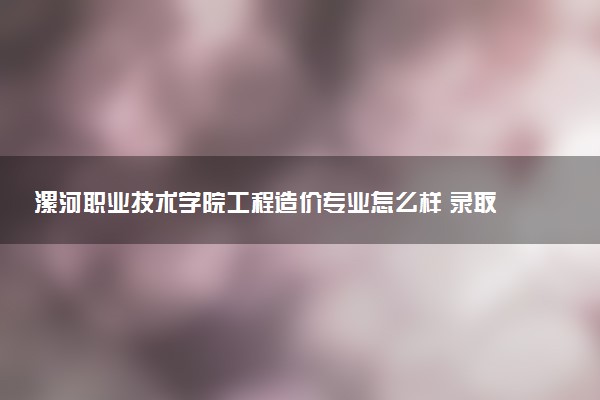 漯河职业技术学院工程造价专业怎么样 录取分数线多少