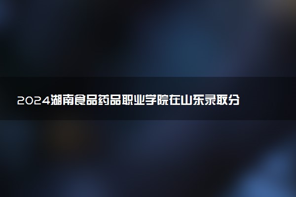 2024湖南食品药品职业学院在山东录取分数线 各专业分数及位次