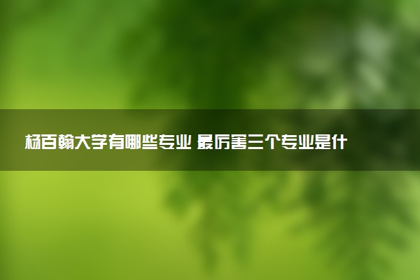 杨百翰大学有哪些专业 最厉害三个专业是什么