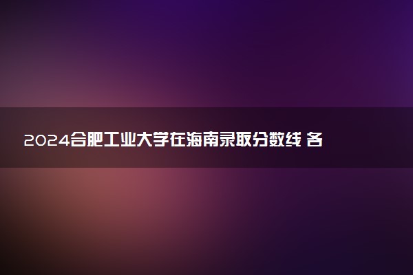 2024合肥工业大学在海南录取分数线 各专业分数及位次