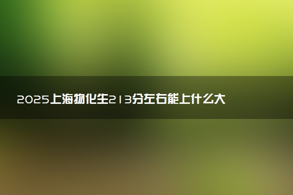 2025上海物化生213分左右能上什么大学 可以报考的院校名单