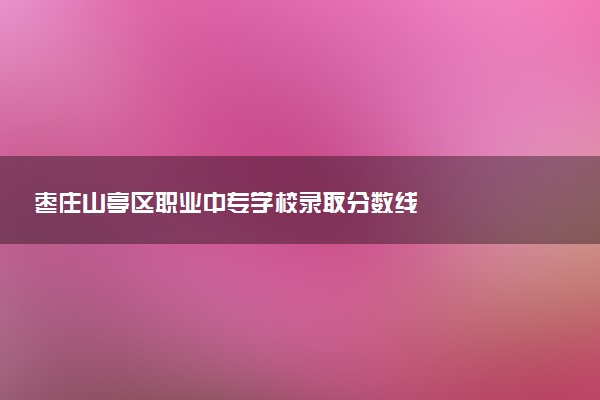 枣庄山亭区职业中专学校录取分数线