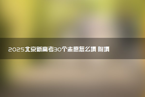 2025北京新高考30个志愿怎么填 附填报规则及志愿样表
