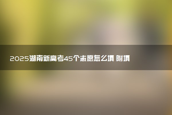 2025湖南新高考45个志愿怎么填 附填报规则及志愿样表