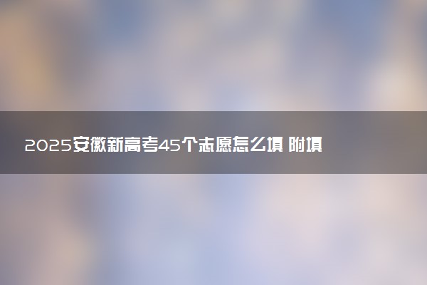 2025安徽新高考45个志愿怎么填 附填报规则及志愿样表