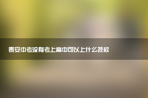 泰安中考没有考上高中可以上什么技校