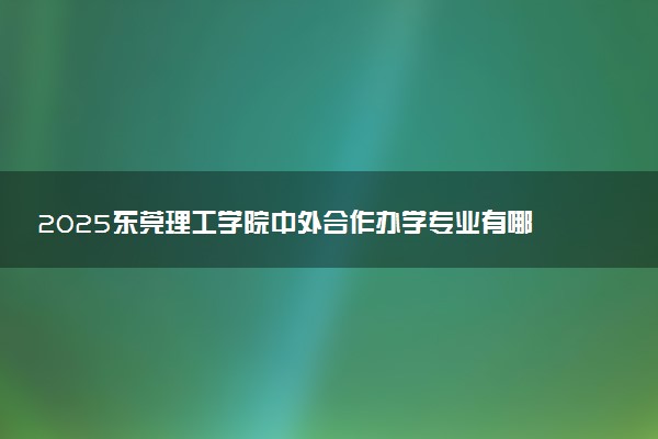 2025东莞理工学院中外合作办学专业有哪些 代码是什么