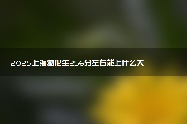 2025上海物化生256分左右能上什么大学 可以报考的院校名单