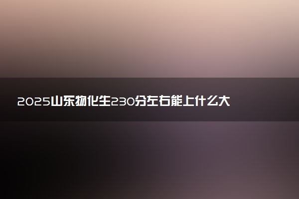2025山东物化生230分左右能上什么大学 可以报考的院校名单