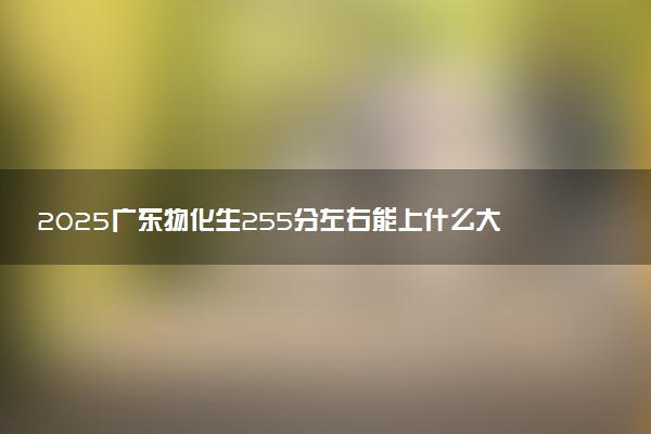 2025广东物化生255分左右能上什么大学 可以报考的院校名单