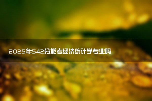 2025年542分能考经济统计学专业吗 542分经济统计学专业大学推荐
