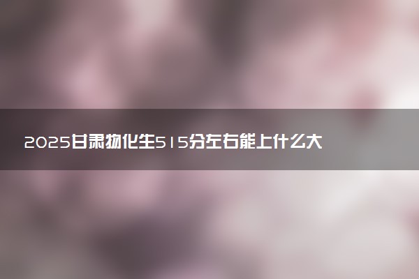 2025甘肃物化生515分左右能上什么大学 可以报考的院校名单