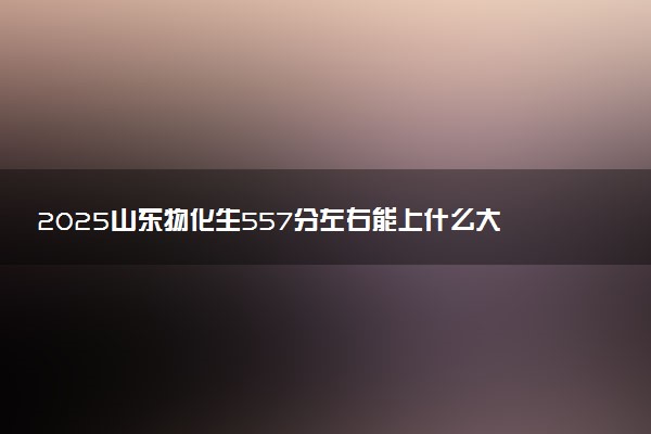 2025山东物化生557分左右能上什么大学 可以报考的院校名单