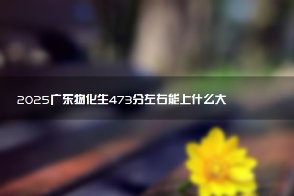 2025广东物化生473分左右能上什么大学 可以报考的院校名单