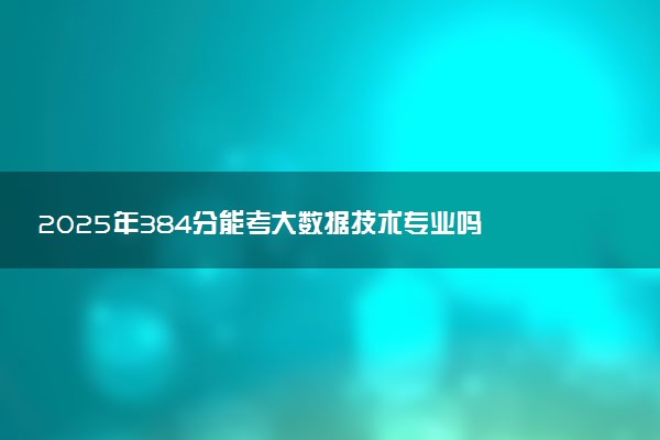 2025年384分能考大数据技术专业吗 384分大数据技术专业大学推荐