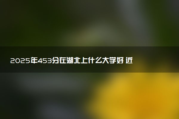 2025年453分在湖北上什么大学好 近三年录取分数线是多少