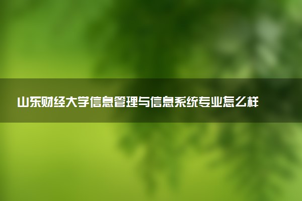 山东财经大学信息管理与信息系统专业怎么样 录取分数线多少