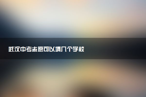 武汉中考志愿可以填几个学校