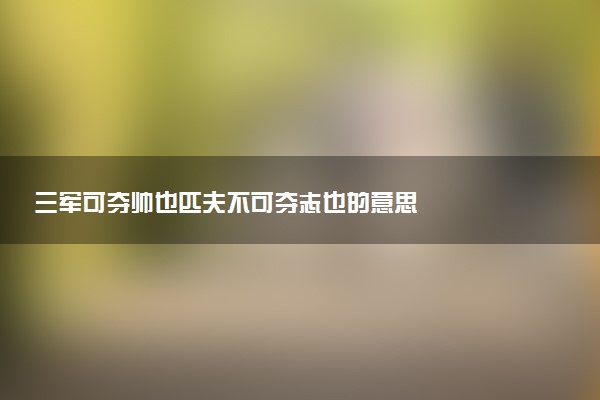 三军可夺帅也匹夫不可夺志也的意思