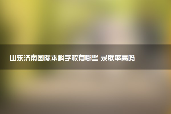 山东济南国际本科学校有哪些 录取率高吗