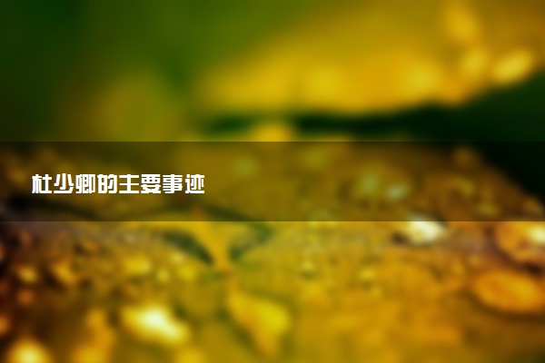 杜少卿的主要事迹