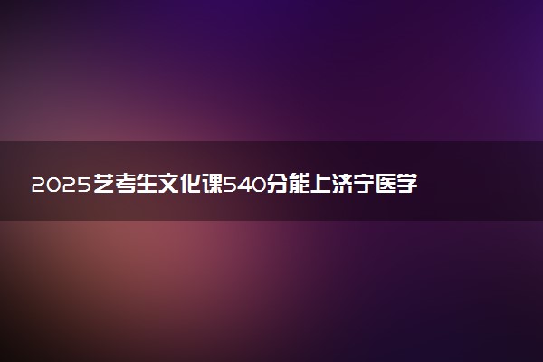 2025艺考生文化课540分能上济宁医学院吗