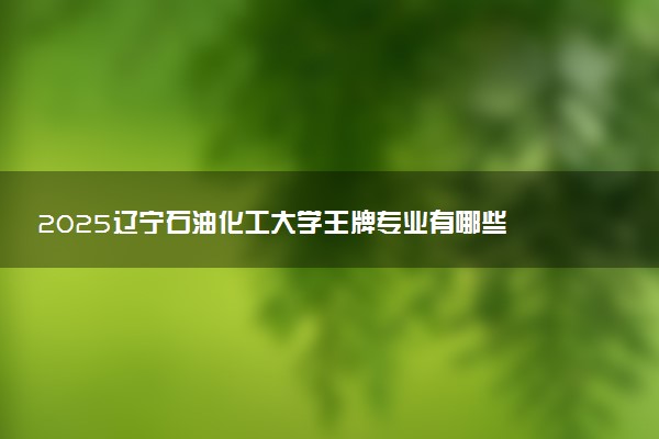 2025辽宁石油化工大学王牌专业有哪些 最好的专业是什么