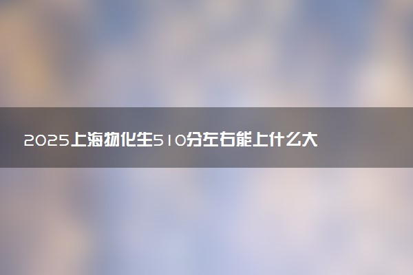 2025上海物化生510分左右能上什么大学 可以报考的院校名单