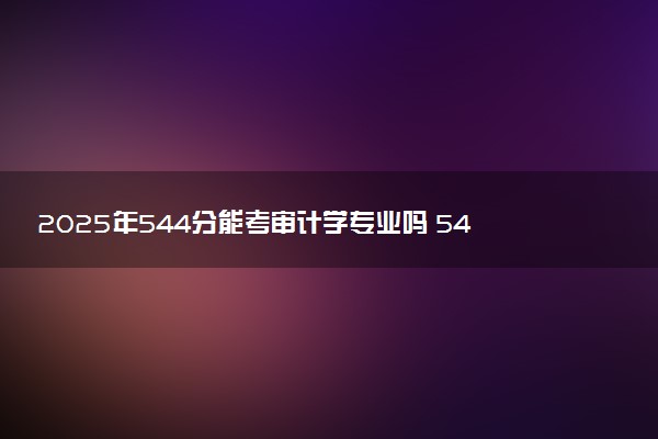 2025年544分能考审计学专业吗 544分审计学专业大学推荐