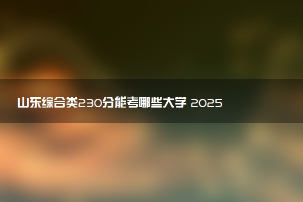 山东综合类230分能考哪些大学 2025考生稳上的大学名单