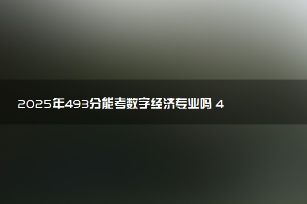 2025年493分能考数字经济专业吗 493分数字经济专业大学推荐