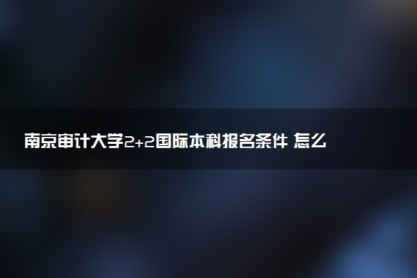 南京审计大学2+2国际本科报名条件 怎么申请