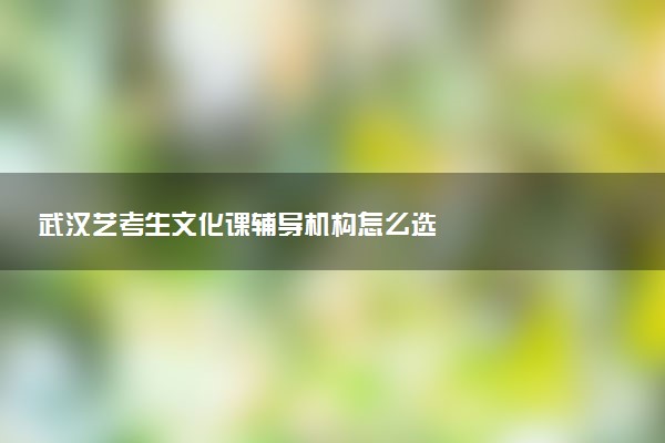 武汉艺考生文化课辅导机构怎么选