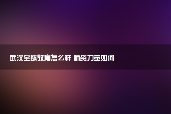 武汉至臻教育怎么样 师资力量如何