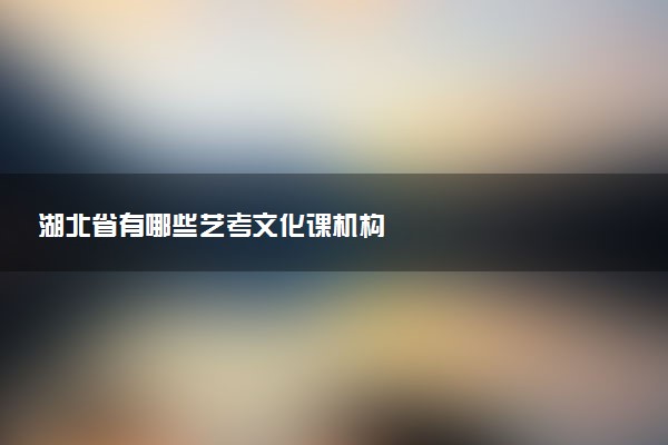 湖北省有哪些艺考文化课机构