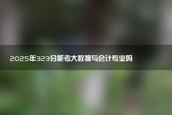 2025年323分能考大数据与会计专业吗 323分大数据与会计专业大学推荐